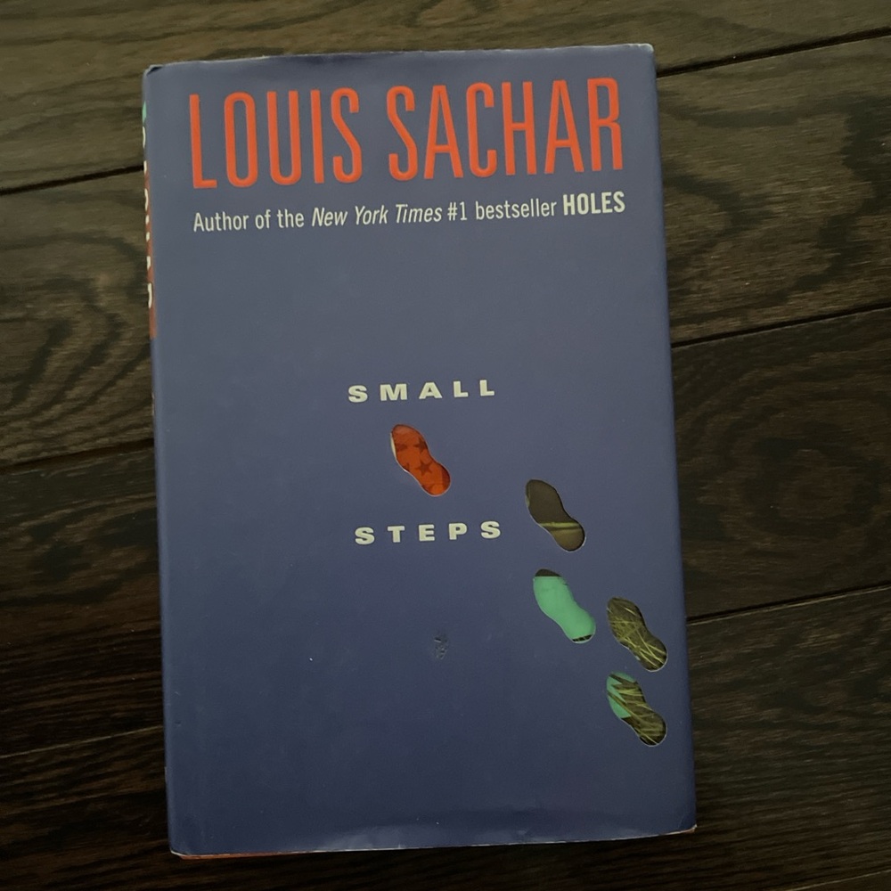📚 Small Steps by Louis Sachar ✨ YA Fiction • Sequel to the iconic Holes